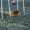 DSC08932.JPG