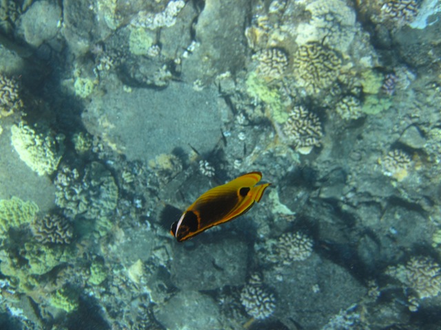 [IMG_3450%255B3%255D.jpg]