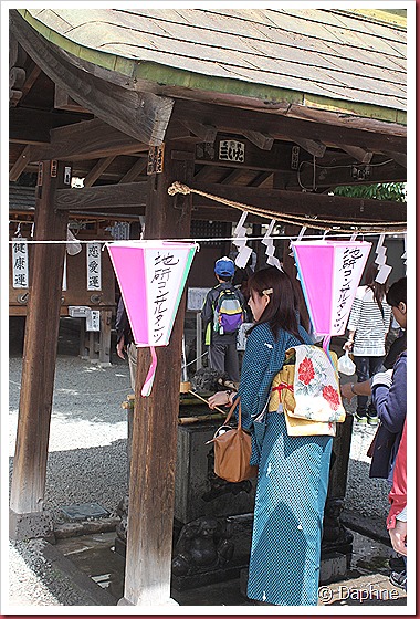 IMG_3164 IMG_3164