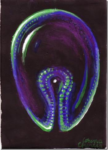 gastrula pictura embrion gastrula pictura embrion