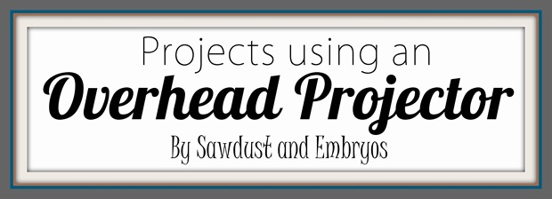 Projects using an Overhead Projector! {Sawdust and Embryos}