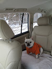 It's just me?  OK, I'll settle in for the ride and try to be brave.