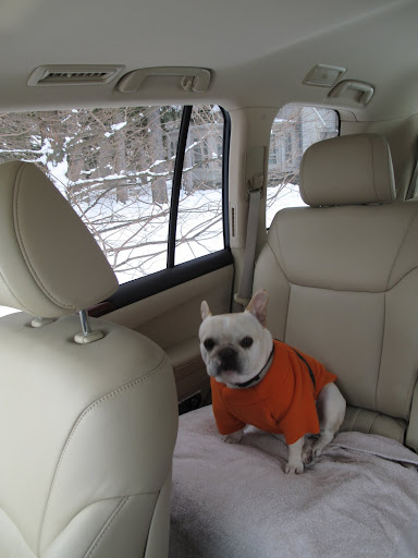 It's just me?  OK, I'll settle in for the ride and try to be brave.