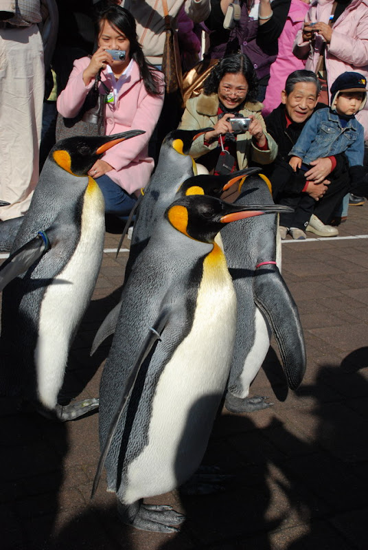 hokkaido_314.jpg