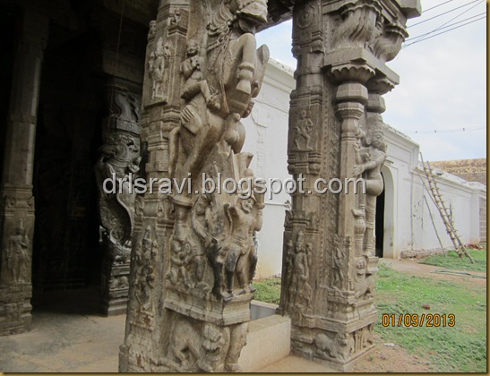 IMG_0007 IMG_0007