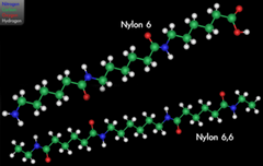 Nylon6 and Nylon66 Nylon6 and Nylon66