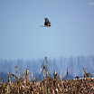 DSCF4355.jpg