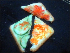 sandwich cross section