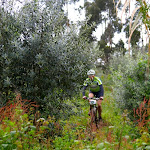 PC295346.jpg