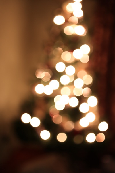 tree-5.jpg Tree 5