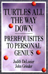 Cover of John Grinder's Book Turtles All The Way Down