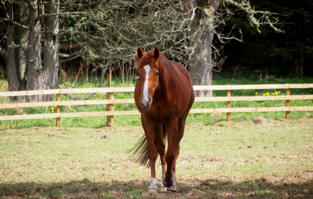 [9%2520May%25203%252009-05-2013%252011-00-48%25204020x2552%255B3%255D.jpg]