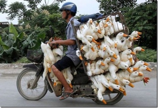 viral-picdump-pics-41740b
