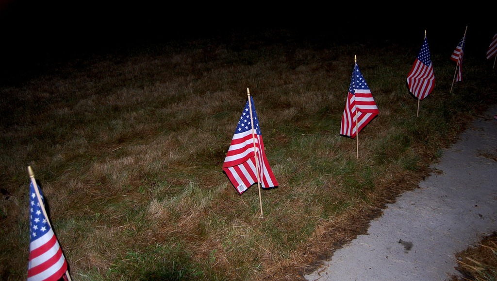 [flags9.jpg]