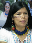 Patricia Gualinga, leader from Sarayaku: “We are asking that the Court recognize the human Rights violations that all the habitants of the Sarayaku people have suffered.  We are asking that the territory of Sarayaku be declared Patrimony of Biodiversity, a Living Jungle.  This means that human beings live there, in addition to other living beings that need protection.  There are fragile eco-systems there that have been targeted for destruction but that we are protecting.”  Photo: Andrew Miller / Amazon Watch