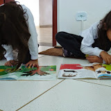 DSC07710.JPG