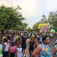 Carnaval_Cantanhede_Bloco_Cana_Limao_2012