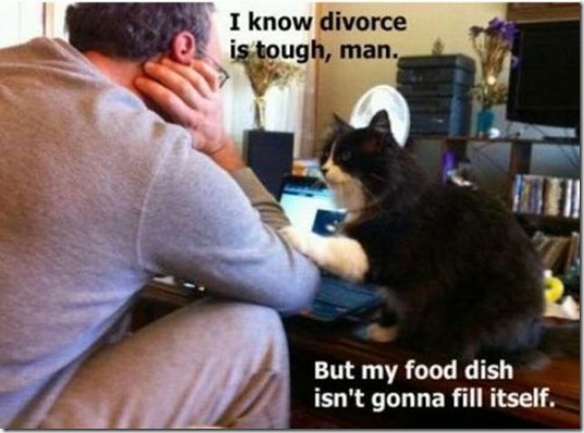 viral-picdump-pics-54212c