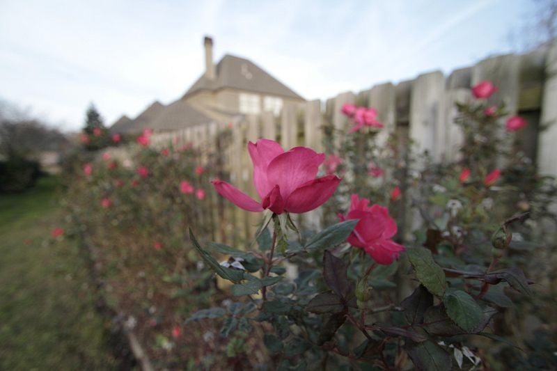 [Canon%252010-22mm%2520gb121226%2520-%2520096%2520%252810mm%2529%255B4%255D.jpg]