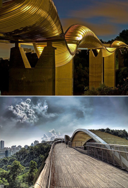 Image Dimension: 350x512 :: Pedestrian Bridge - Texas Pedestrian Bridge - Texas