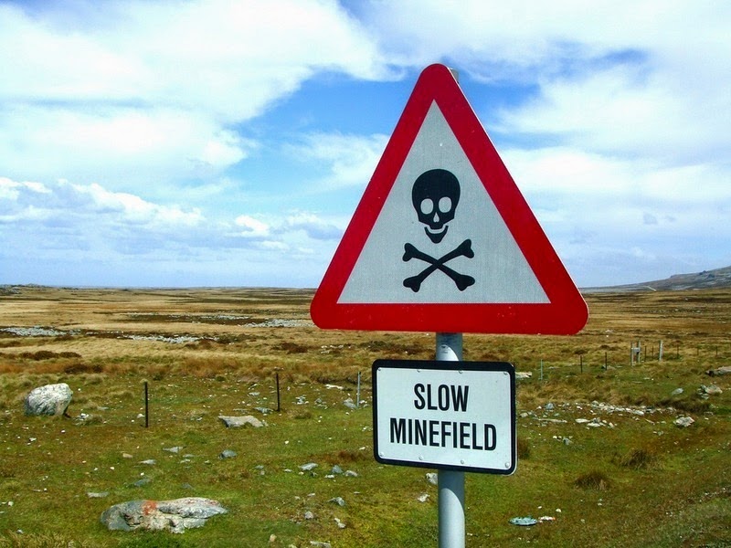 falkland-penguins-minefield-7