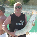 Brochet du lac de Sainte-Croix