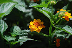 DSC_8571.jpg