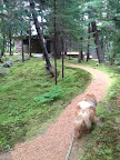 It's easy to see why Martha loves entertaining here.  If the 12 bedrooms in the house aren't enough, there's also a guest cottage on the property!