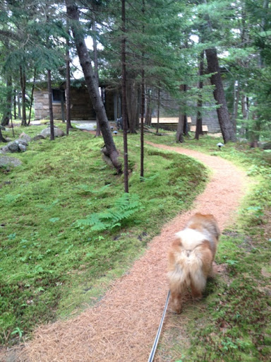 It's easy to see why Martha loves entertaining here. If the 12 bedrooms in the house aren't enough, there's also a guest cottage on the property! It's easy to see why Martha loves entertaining here. If the 12 bedrooms in the house aren't enough, there's also a guest cottage on the property!