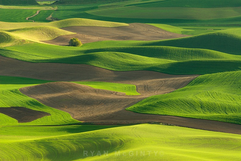 Palouse Camouflage