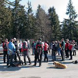 _DSC0005.jpg