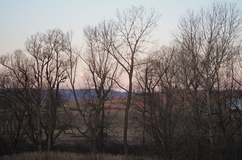 [DSC_0019%255B6%255D.jpg]