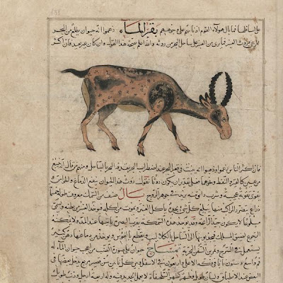 The Sea Cow (Baqar al-Ma'); folio from a Aja'ib al-makhluqat ("Wonders of Creation") by al-Qazvini | Origin: Iraq or Eastern Turkey | Period: early 15th century Muhammad al-Qazwini (b. Zakariya) c. 1203-1283), | Details: Not Available | Type: Opaque watercolor, ink, gold and silver on paper | Size: H: 32.7 W: 22.4 cm | Museum Code: F1954.69 | Photograph and description taken from Freer and the Sackler (Smithsonian) Museums. af84542b5fcd40e29d10a7d6a12edbaa.jpg