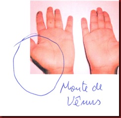 maodaflor11 maodaflor11