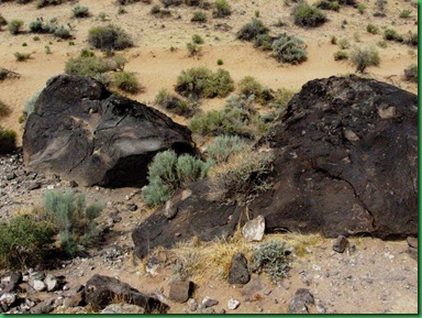 Petroglyph Nat'l Monument 028