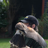 Cub Pack Holiday - Skreens Park 2012 - DSC_0136.jpg