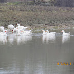 IMG_1572.JPG
