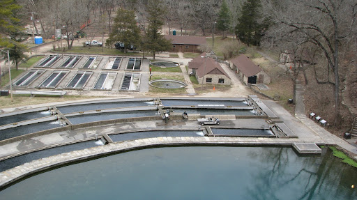 View of Roaring River Hatchery from the Deer Leap Trail
photo credit:  Michele Skalicky
