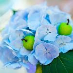 Wed_20120420_0040.jpg