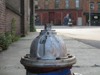 I'm thankful for fire hydrants!