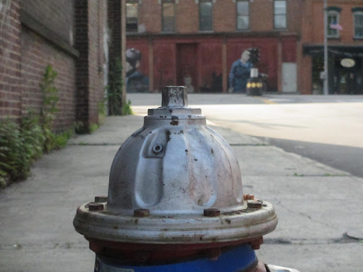 I'm thankful for fire hydrants!