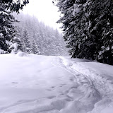 2013 - Neureuth Rodeln