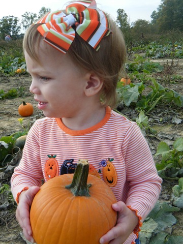 [bottomviewfarmswmops0143.jpg]