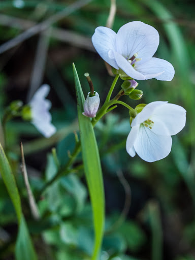 P3259189