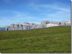 IMG_1018 IMG_1018