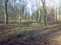 01172012897.jpg Photo 01172012897.jpg Photo