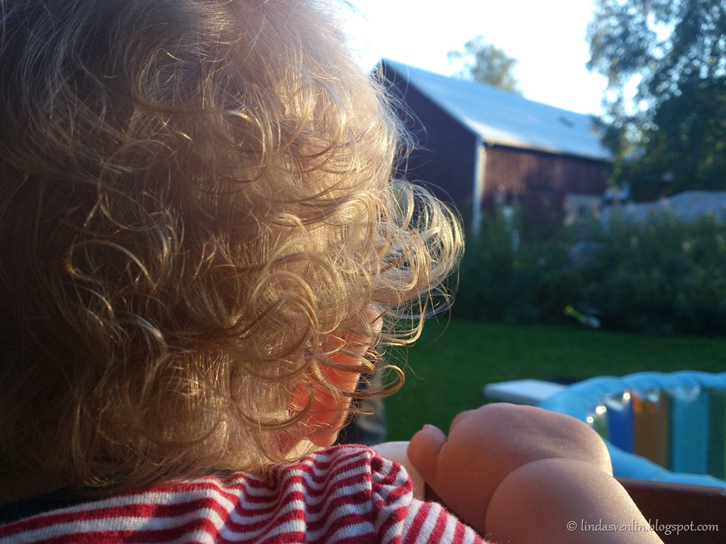 [DSC_0911%2520%25282%2529%255B9%255D.jpg]