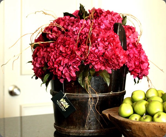 01 nicki gray preserved