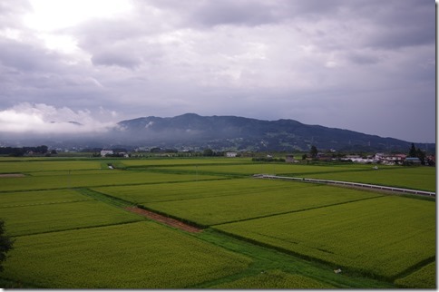IMGP8331 IMGP8331