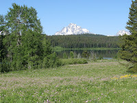 IMG_0353.JPG Photo